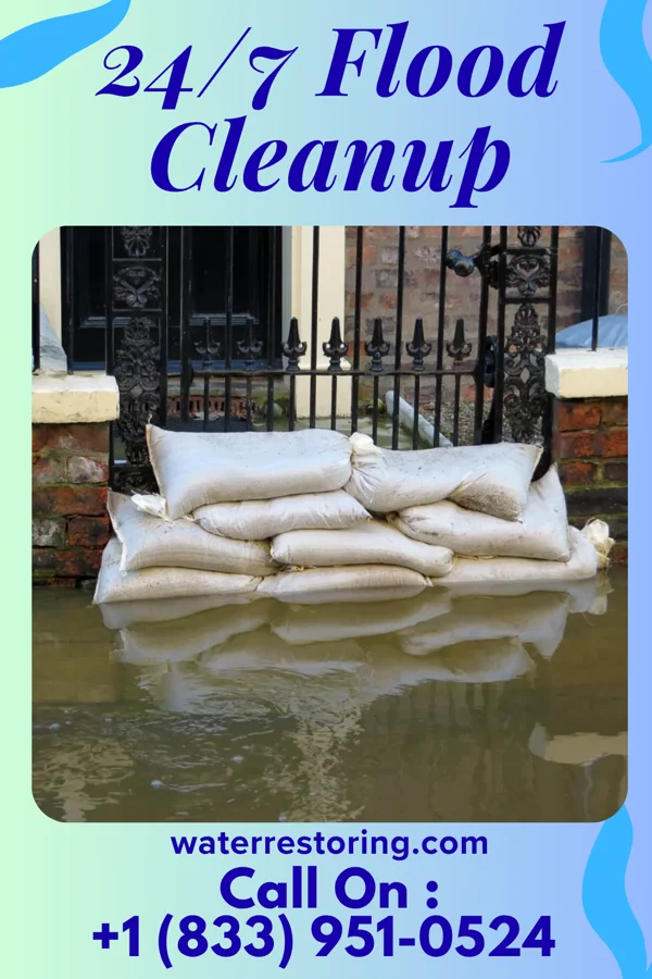 24/7 Flood Cleanup in Waverly Hall, GA
